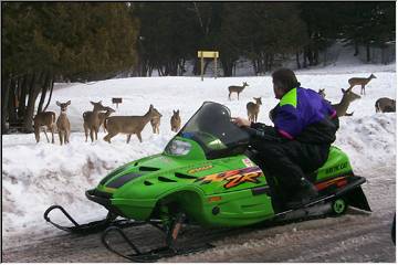 Deer admire a snowmobiler