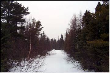 In the woods, near Traverse River