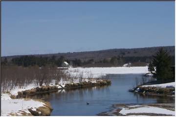 Up the Portage Canal