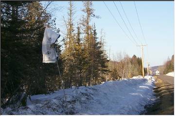 Retreating snow ... flying feed bag