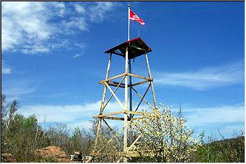 Red Wing's flag proudly waves