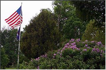 Lilacs and Old Glory