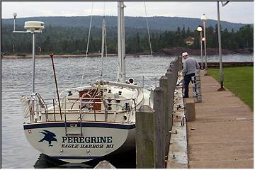 George Hite's Peregrine