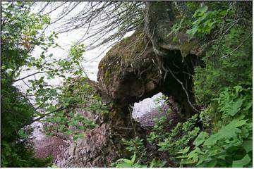 Natural bridge in the rocks