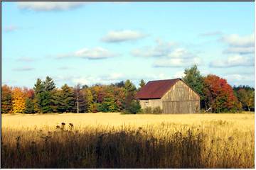 The farm in the valley