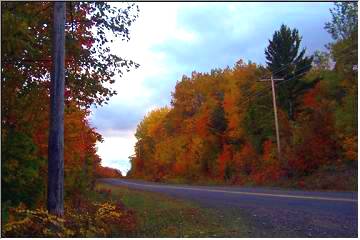 Copper Country Color