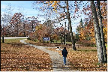 Nature path to the bridge