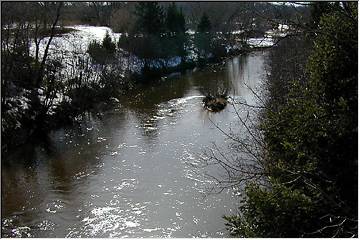 Stream through the northwoods