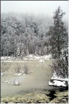 Morning fog, melting snow