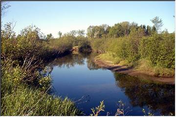 Peaceful stream