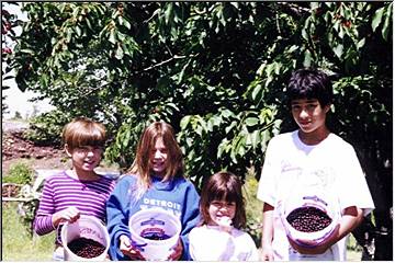 Berry pickin' yooper kids