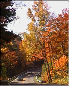 Covered drive, US 41