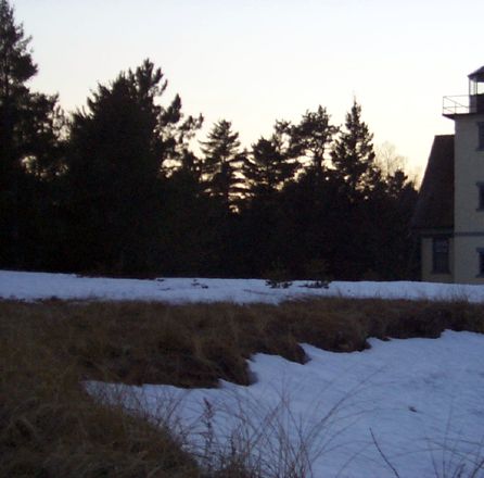 A glimpse of life in the U.P.