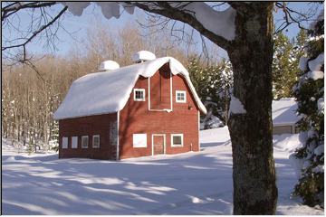 Barn to be wild