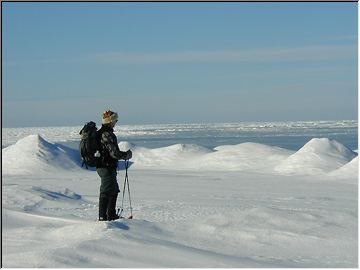 Mid-Winter Lake Michigan