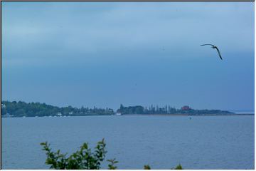 Photo by Jonathan (Livingston Seagull) Hopper