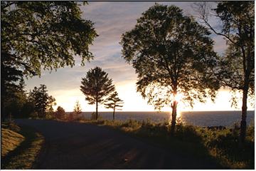 In the park, end of day