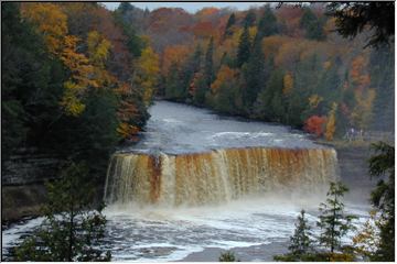 Northwoods beauty