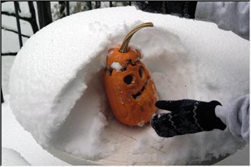 Frost on the pumpkin