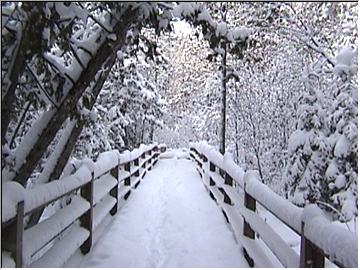 Snowy walkway