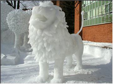 Winter roars on