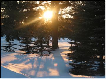 Fresh snowfall