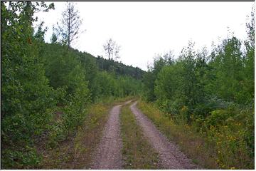 Exploring the backroads