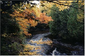 Gratiot River