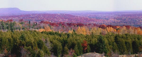 View from the hill