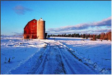 Down on the farm