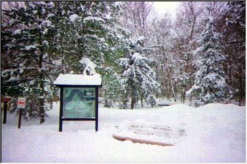 Snow-covered seat