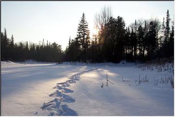 Bigfoot tracks