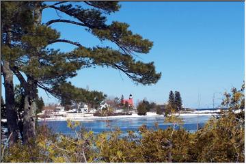 Framed in evergreens