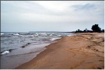 Beachcombing