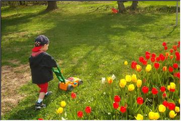 Mow, mow, mow the lawn