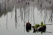 2004