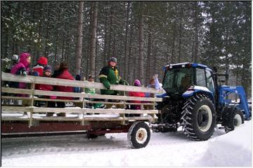 Wheeled transport