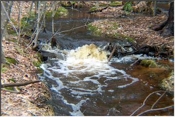 Bubbling over