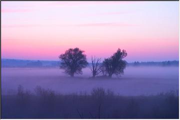 Misty morning