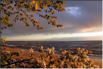 Shoreline shades