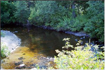 Watering hole