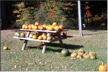 Jack-o-Lanterns