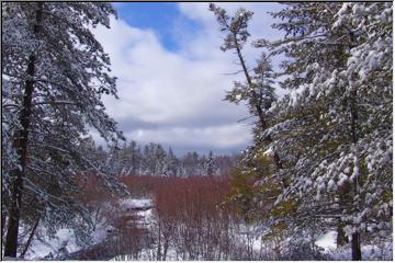 Colors of winter