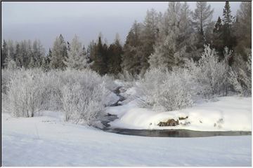 Frosty coating