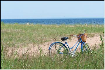 Beach bike