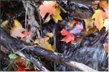 Colorful water