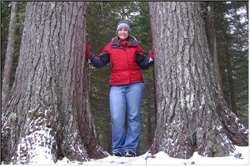 Giants in the snow