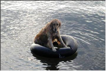 Water ride