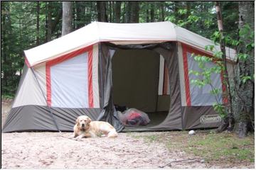 Sleepy pup/tent