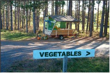 Get your fresh veggies!